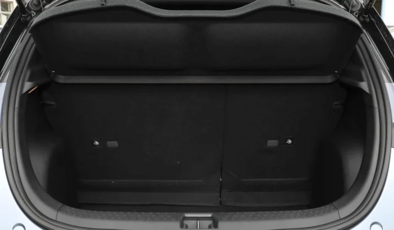 
								BYD Dolphin full									
