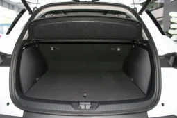 BYD Sea Lion 05 DM