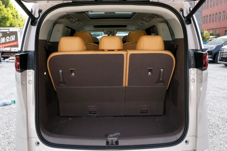 
								Denza D9 EV full									
