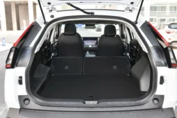 GAC Trumpchi Emkoo