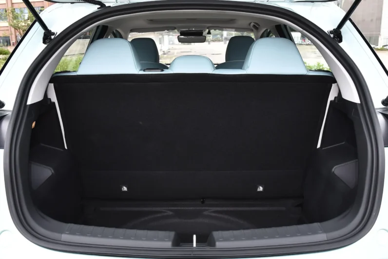 
								Geely Geometry E Firefly full									
