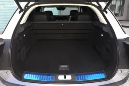 Hongqi E-HS9