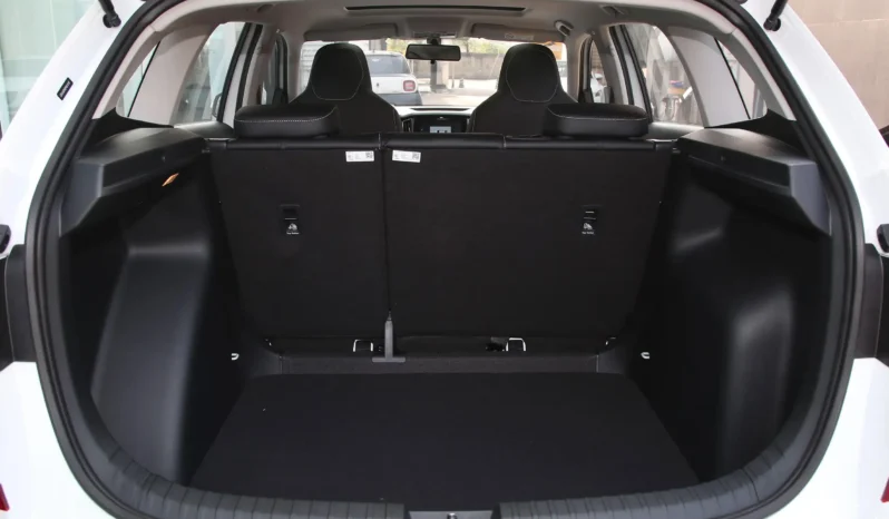 
								Škoda KAMIQ full									