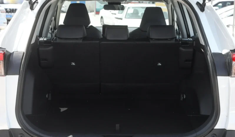 
								Toyota RAV4 full									