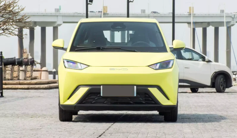 Imgi 4 BYD Seagull 2023 appearance2