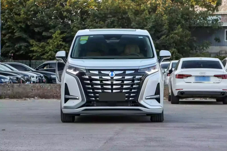 Imgi 4 Denza D9 DM i 2023 appearance