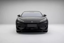 Denza Z9 DM