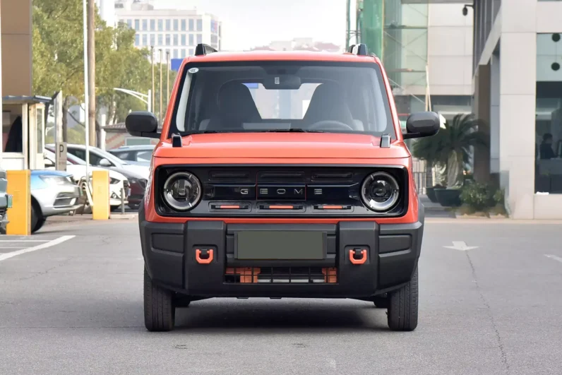 Imgi 4 Geely Panda 2024 appearance