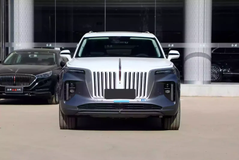 Imgi 4 Hongqi E HS9 2022 appearance