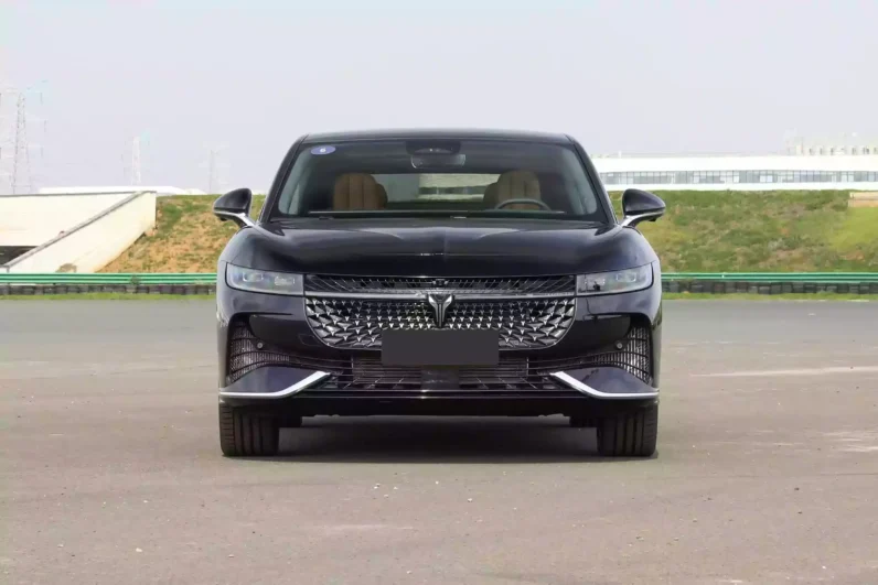 Imgi 4 Voyah Passion PHEV 2024 appearance