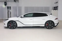 Denza Z9GT DM