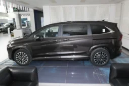 Hyundai Custo