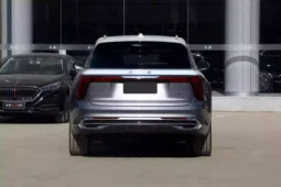 Hongqi E-HS9