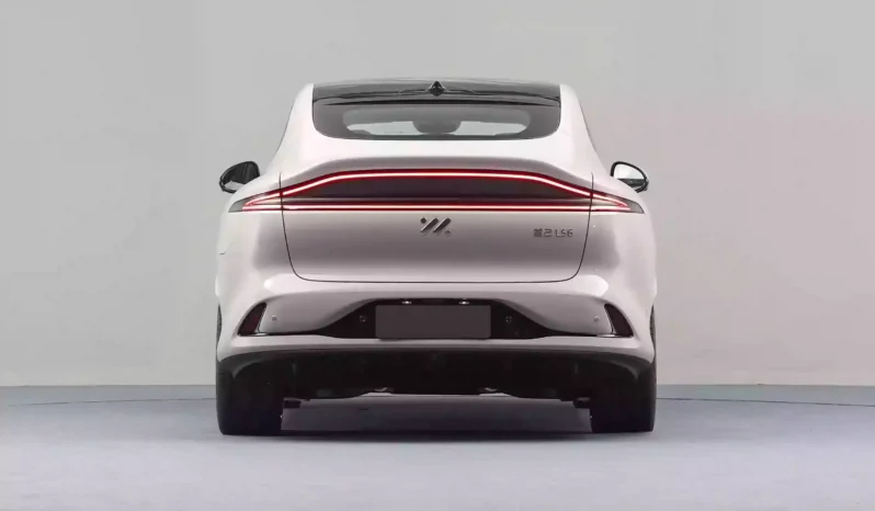 
								IM Motors LS6 full									