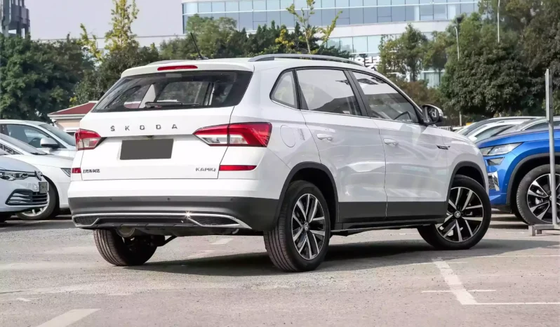 
								Škoda KAMIQ full									