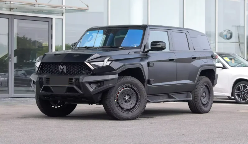 
								M-Hero 917 EV full									