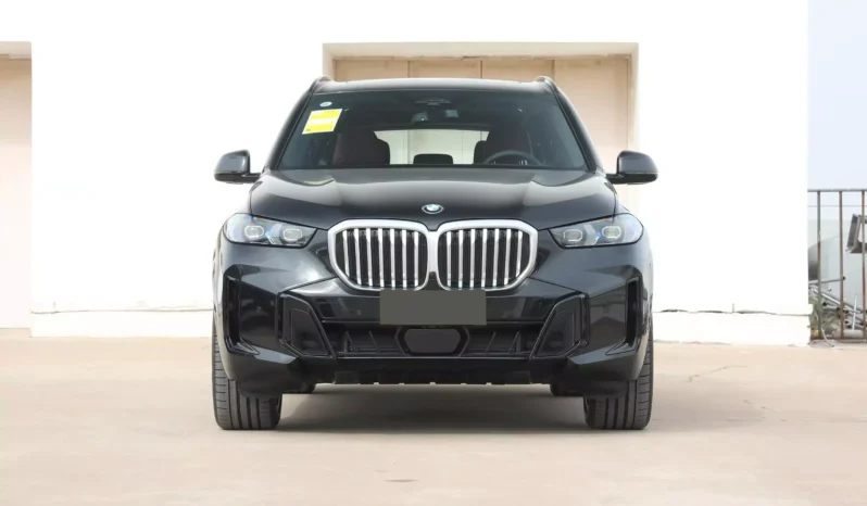 Imgi 4 BMW X5 2023 appearance